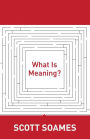 What Is Meaning?