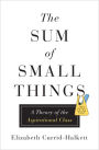 The Sum of Small Things: A Theory of the Aspirational Class