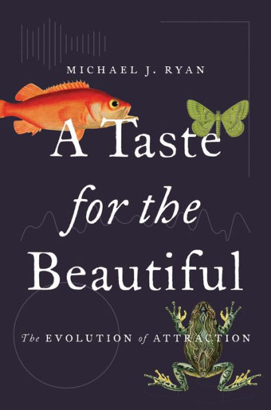 A Taste for the Beautiful: The Evolution of Attraction