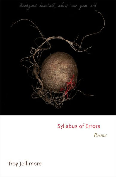 Syllabus of Errors