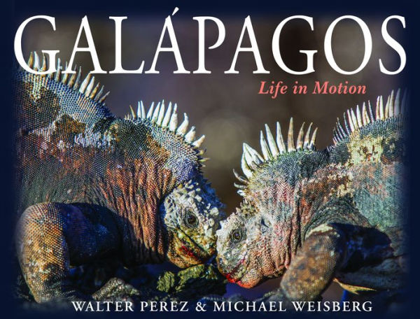 Galápagos: Life in Motion