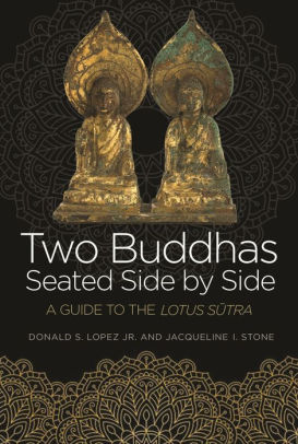 The Splendid Vision: Reading a Buddhist Sutra (NONE)