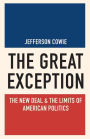 The Great Exception: The New Deal and the Limits of American Politics