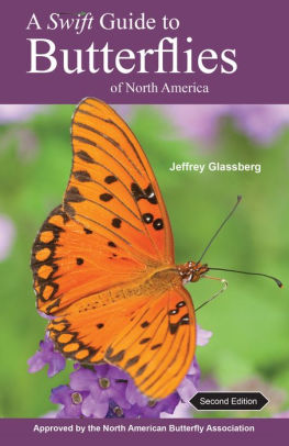 North American Butterfly Identification Chart