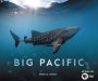 Big Pacific: Passionate, Voracious, Mysterious, Violent