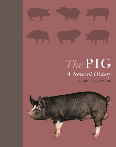 The Pig: A Natural History