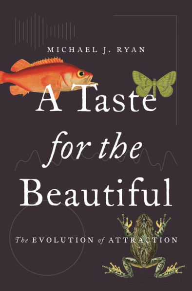 A Taste for The Beautiful: Evolution of Attraction