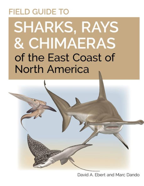 Field Guide to Sharks, Rays and Chimaeras of the East Coast North America