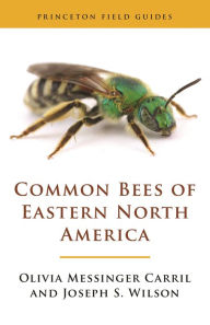 Title: Common Bees of Eastern North America, Author: Olivia Messinger Carril