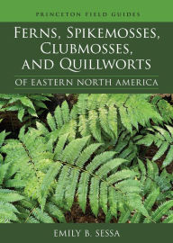 Online textbook downloads Ferns, Spikemosses, Clubmosses, and Quillworts of Eastern North America English version by Emily Sessa PDF CHM DJVU 9780691219455