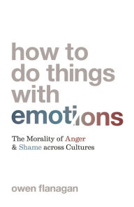 Download books google free How to Do Things with Emotions: The Morality of Anger and Shame across Cultures 9780691220970  by 