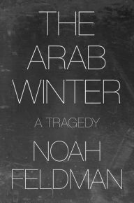 Free download german books The Arab Winter: A Tragedy by  9780691227931 (English literature) FB2 PDB