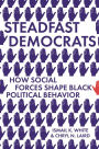 Steadfast Democrats: How Social Forces Shape Black Political Behavior