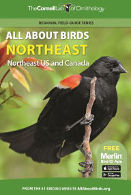 Free torrent for ebook download All About Birds Northeast: Northeast US and Canada ePub DJVU MOBI by  in English