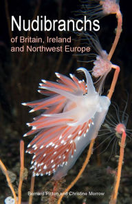 Title: Nudibranchs of Britain, Ireland and Northwest Europe: Second Edition, Author: Bernard Picton