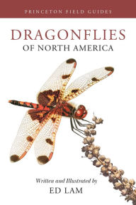 Title: Dragonflies of North America, Author: Ed Lam