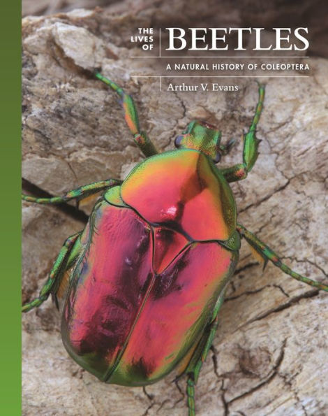 The Lives of Beetles: A Natural History Coleoptera