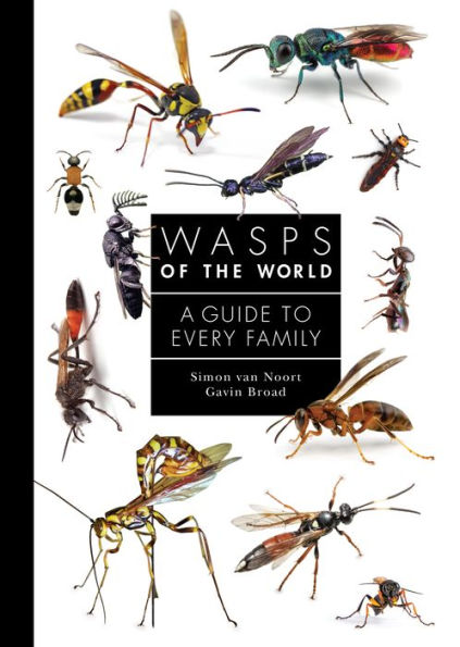 Wasps of the World: A Guide to Every Family