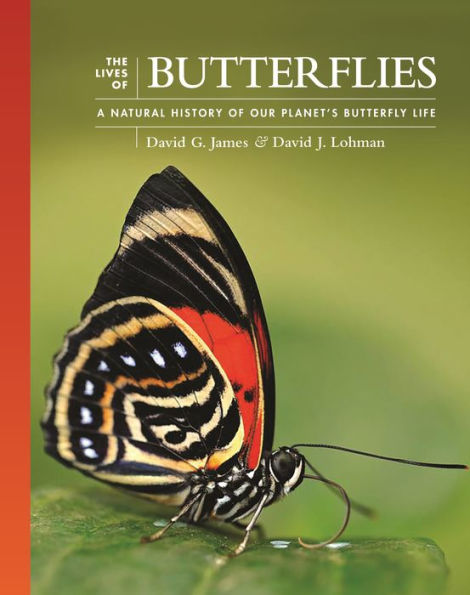 The Lives of Butterflies: A Natural History Our Planet's Butterfly Life