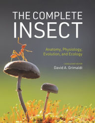 Title: The Complete Insect: Anatomy, Physiology, Evolution, and Ecology, Author: David A. Grimaldi