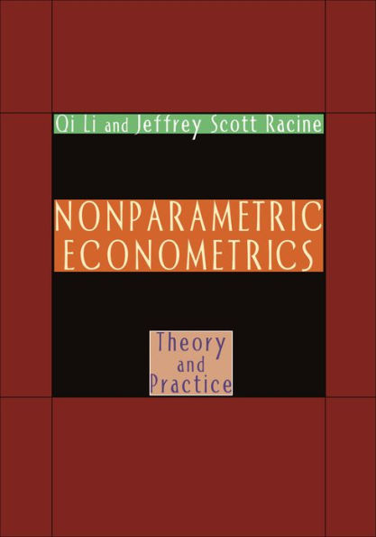 Nonparametric Econometrics: Theory and Practice