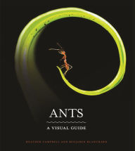 Title: Ants: A Visual Guide, Author: Heather Campbell
