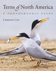 Title: Terns of North America: A Photographic Guide, Author: Cameron Cox