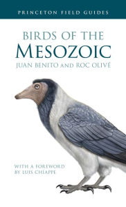 Title: Birds of the Mesozoic, Author: Juan Benito