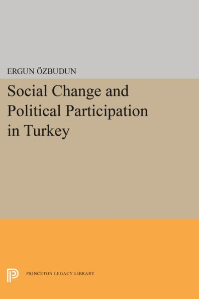 Social Change and Political Participation in Turkey