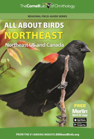 Free book catalogue download All About Birds Northeast: Northeast US and Canada 9780691990026 RTF FB2 DJVU (English Edition) by 