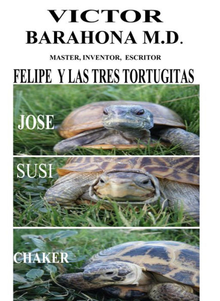 Felipe y las tres tortugitas