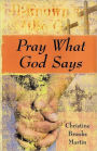 Pray What God Says