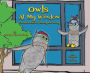 Owls At My Window: The Adventures of Stanley and Windy