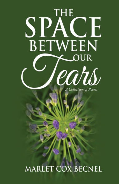 The Space Between Our Tears: A Collection of Poems