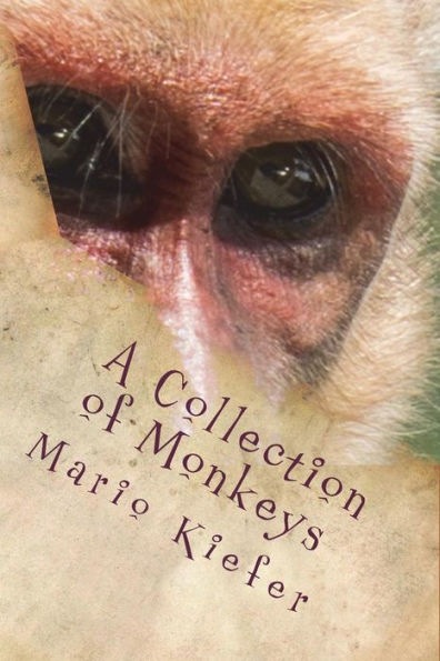 A Collection of Monkeys