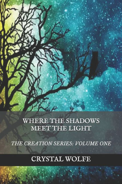 Where the Shadows Meet the Light by Crystal Wolfe, Paperback | Barnes ...