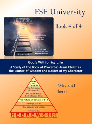 Faith, Substance & Evidence - Book 4