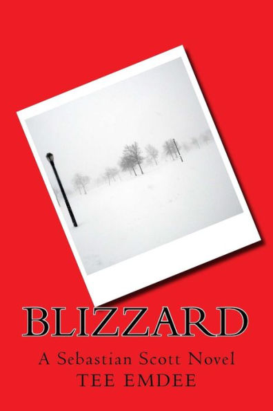Blizzard: A Sebastian Scott Novel