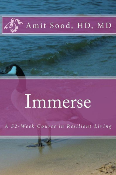 Immerse: A 52-Week Course in Resilient Living: A Commitment to Live With Intentionality, Deeper Presence, Contentment, and Kindness.