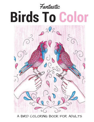 Download Fantastic Birds To Color A Bird Coloring Book For Adults By Lightburst Media Paperback Barnes Noble