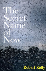 Title: The Secret Name of Now, Author: Robert Kelly