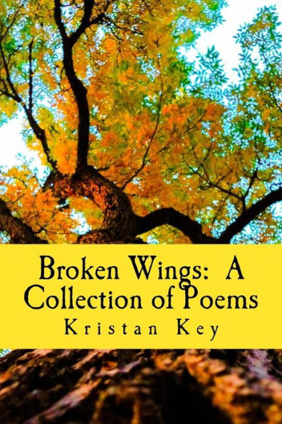 Broken Wings: A Collection of Poems