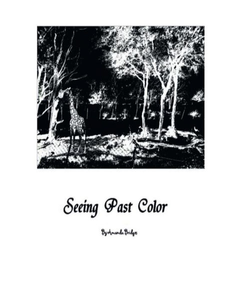 Seeing Past Color