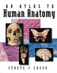 Title: An Atlas To Human Anatomy by Strete/Creek / Edition 1, Author: Dennis Strete