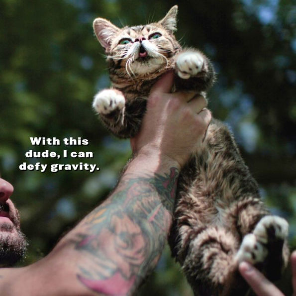 Lil BUB's Lil Book: The Extraordinary Life of the Most Amazing Cat on the Planet