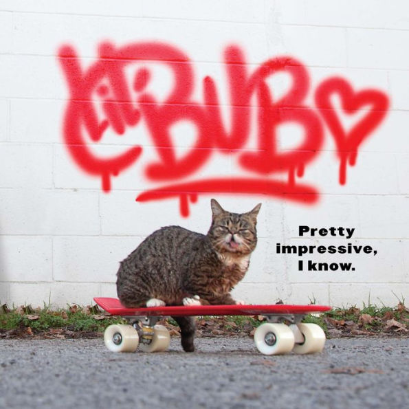 Lil BUB's Lil Book: The Extraordinary Life of the Most Amazing Cat on the Planet