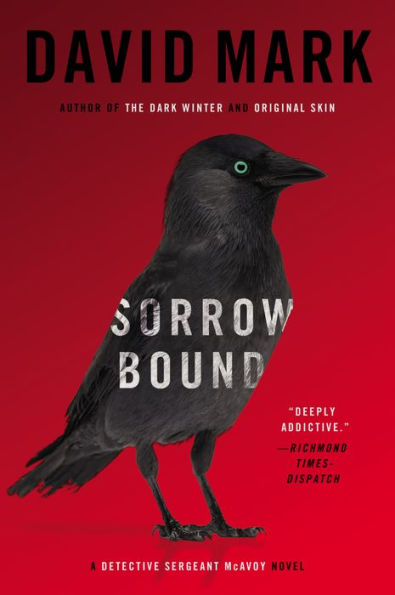 Sorrow Bound (Detective Sergeant McAvoy Series #3)