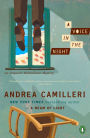 A Voice in the Night (Inspector Montalbano Series #20)