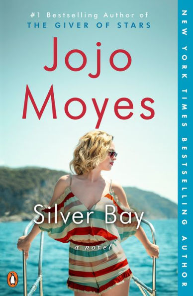 Silver Bay: A Novel