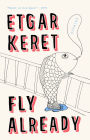 Fly Already: Stories